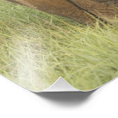 Indian / Asian Elephant and young one,Corbett Fotodruck (Ecke)