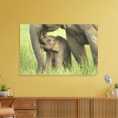 Indian / Asian Elephant and young one,Corbett Leinwanddruck (Insitu (Wohnzimmer))