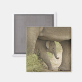Indian / Asian Elephant and young one,Corbett Magnet (Vorderseite/Rückseite)