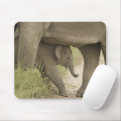 Indian / Asian Elephant and young one,Corbett Mousepad (Mit Mouse)
