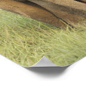 Indian / Asian Elephant and young one,Corbett Poster (Ecke)