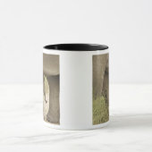 Indian / Asian Elephant and young one,Corbett Tasse (Zentrum)
