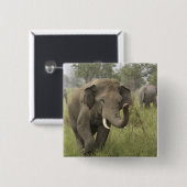 Indian Asian Elephant Gruß Button (Vorne & Hinten)
