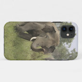 Indian Asian Elephant Gruß Case-Mate iPhone Hülle (Rückseite (Horizontal))