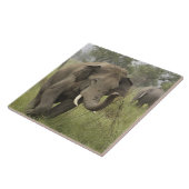 Indian Asian Elephant Gruß Fliese (Seite)