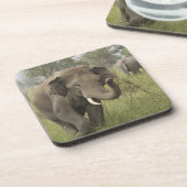 Indian Asian Elephant Gruß Getränkeuntersetzer (Linke Seite)