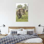Indian Asian Elephant Gruß Leinwanddruck (Insitu (Schlafzimmer))