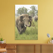 Indian Asian Elephant Gruß Leinwanddruck (Insitu (Wohnzimmer))