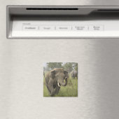 Indian Asian Elephant Gruß Magnet (In Situ (Geschirrspüler))
