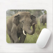 Indian Asian Elephant Gruß Mousepad (Mit Mouse)