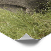 Indian Asian Elephant Gruß Poster (Ecke)