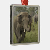 Indian Asian Elephant Gruß Silbernes Ornament (Rechts)