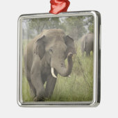 Indian Asian Elephant Gruß Silbernes Ornament (Links)