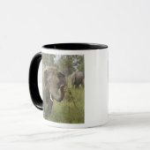 Indian Asian Elephant Gruß Tasse (Vorderseite Links)