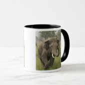 Indian Asian Elephant Gruß Tasse (VorderseiteRechts)