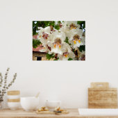 Indian Bean Tree Blume Poster (Küche)