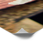 Indian Bean Tree Blume Poster (Ecke)