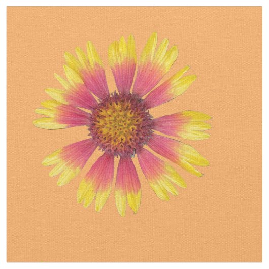 Indian Blanket Design Fabric Stoff (Nahaufnahme)