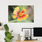 Indian Blanket Poster (Heimbüro)