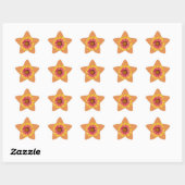 Indian Blanket Star Sticker (Blatt)