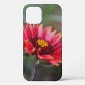 Indian Blanket Wildblume Art Phone Case (Rückseite)