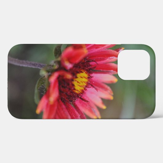 Indian Blanket Wildblume Art Phone Case (Rückseite (Horizontal))