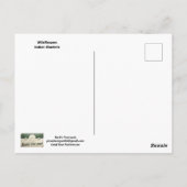 Indian Blankets POSTCARD Postkarte (Rückseite)