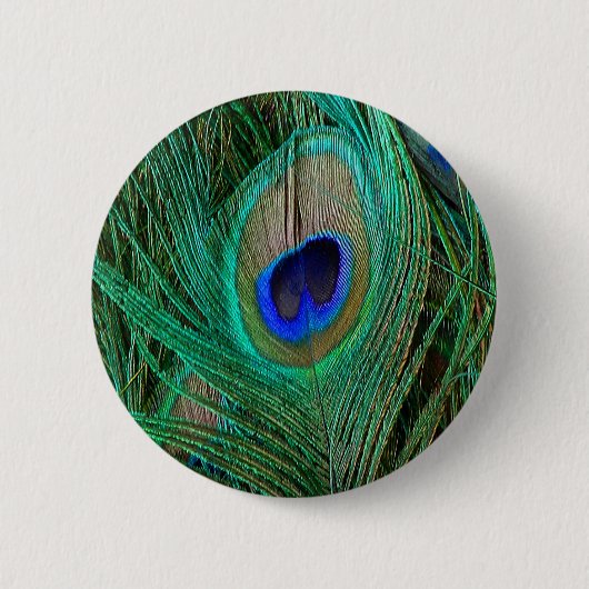 Indian Blue Peacock Feather Button (Vorderseite)