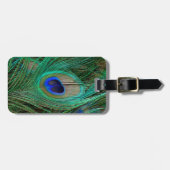 Indian Blue Peacock Feather Gepäckanhänger (Vorderseite horizontal)