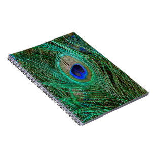 Indian Blue Peacock Feather Notizblock