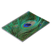 Indian Blue Peacock Feather Notizblock (Linke Seite)