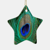 Indian Blue Peacock Feather Star Ornament (Rechts)