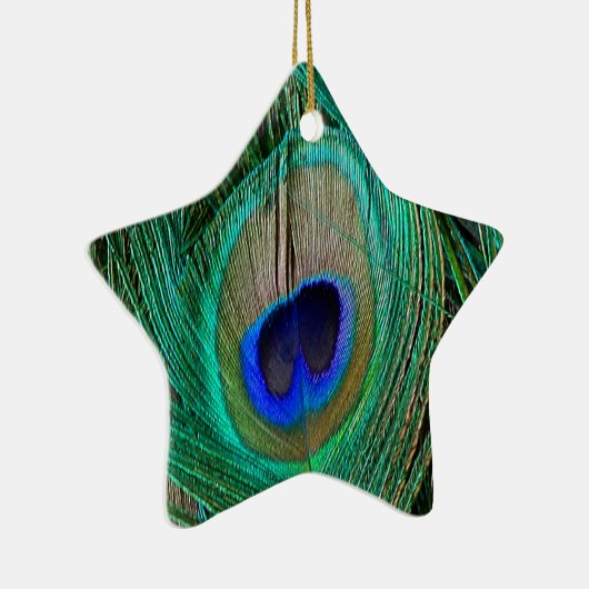 Indian Blue Peacock Feather Star Ornament (Rechts)