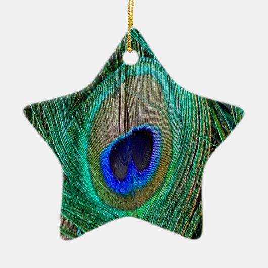 Indian Blue Peacock Feather Star Ornament (Vorne)