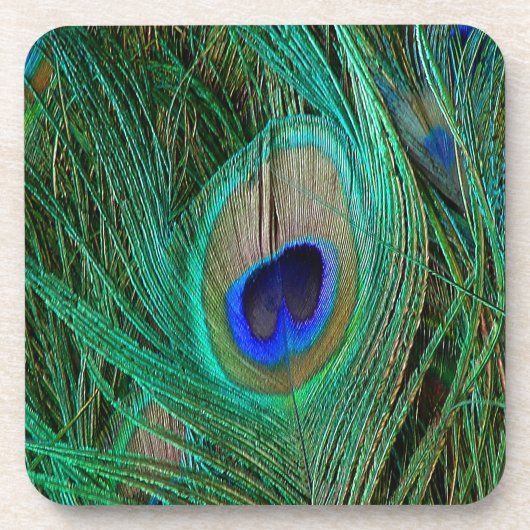 Indian Blue Peacock Feather Untersetzer (Vorderseite)