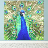 Indian Blue Peacock Leinwanddruck (Insitu (Holzboden))