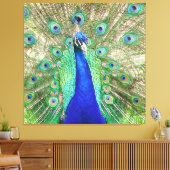 Indian Blue Peacock Leinwanddruck (Insitu (Wohnzimmer))