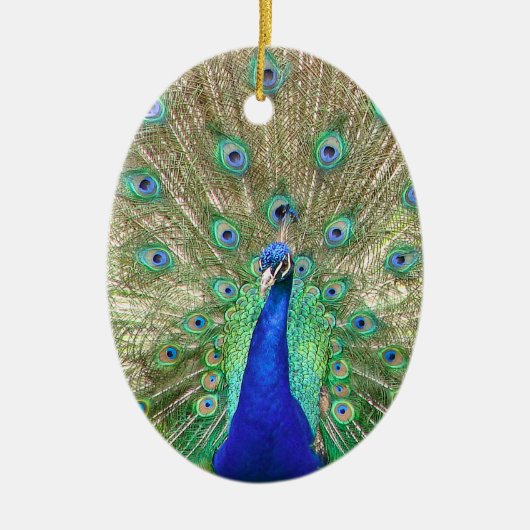 Indian Blue Peacock Ornament (Vorne)