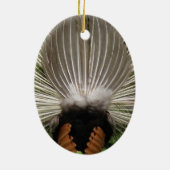 Indian Blue Peacock Ornament (Hinten)