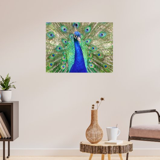 Indian Blue Peacock Poster (Wohnzimmer 3)