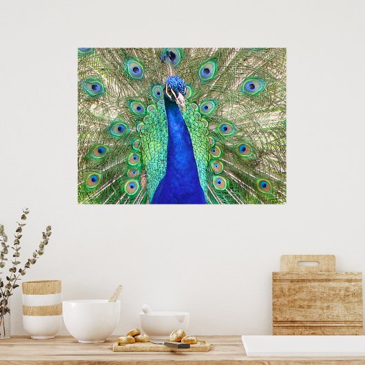 Indian Blue Peacock Poster (Küche)