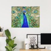Indian Blue Peacock Poster (Heimbüro)