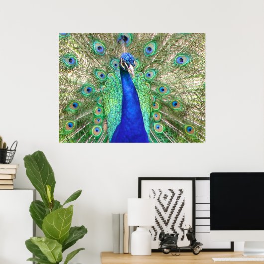 Indian Blue Peacock Poster (Heimbüro)