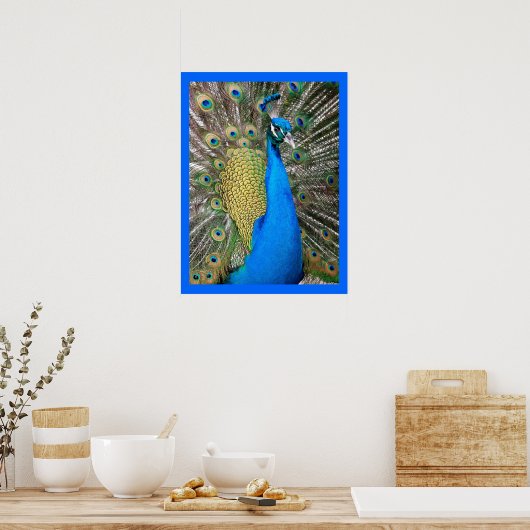Indian Blue Peacock Poster (Küche)