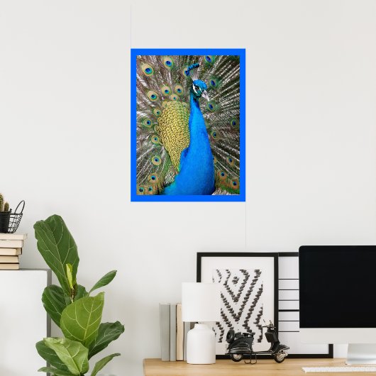 Indian Blue Peacock Poster (Heimbüro)