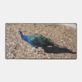Indian Blue Peafowl deskmat (Vorderseite)