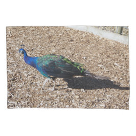 Indian Blue Peafowl pillowcase Kissenbezug