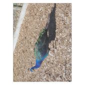 Indian Blue Peafowl tablecloth Tischdecke (Vorderseite)