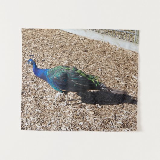 Indian Blue Peafowl tapestry Wandteppich (Vorderseite (Horizontal))