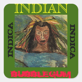 INDIAN BUBBLEGUM INDICA QUADRATISCHER AUFKLEBER